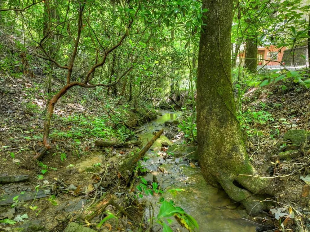 46 Private Drive Ellijay, GA 30536