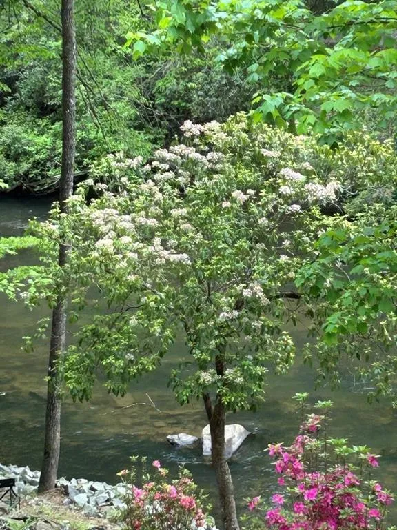 46 Private Drive Ellijay, GA 30536