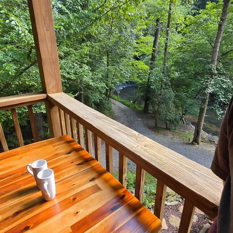 46 Private Drive Ellijay, GA 30536