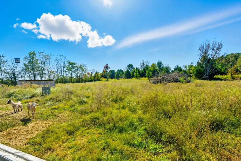 795 White Rd Portland, TN 37148