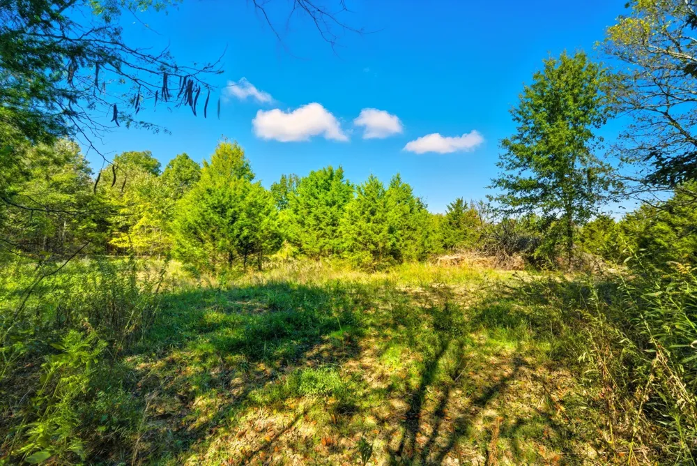 795 White Rd Portland, TN 37148