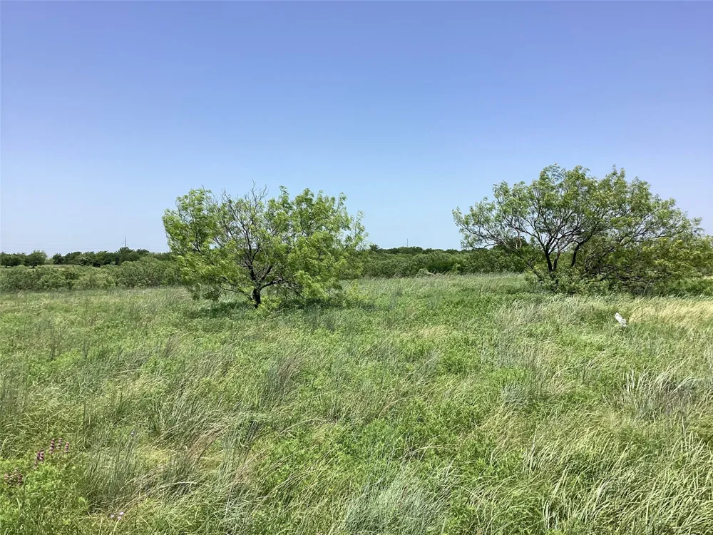 917 SanJacinto Drive Aledo, TX 76008