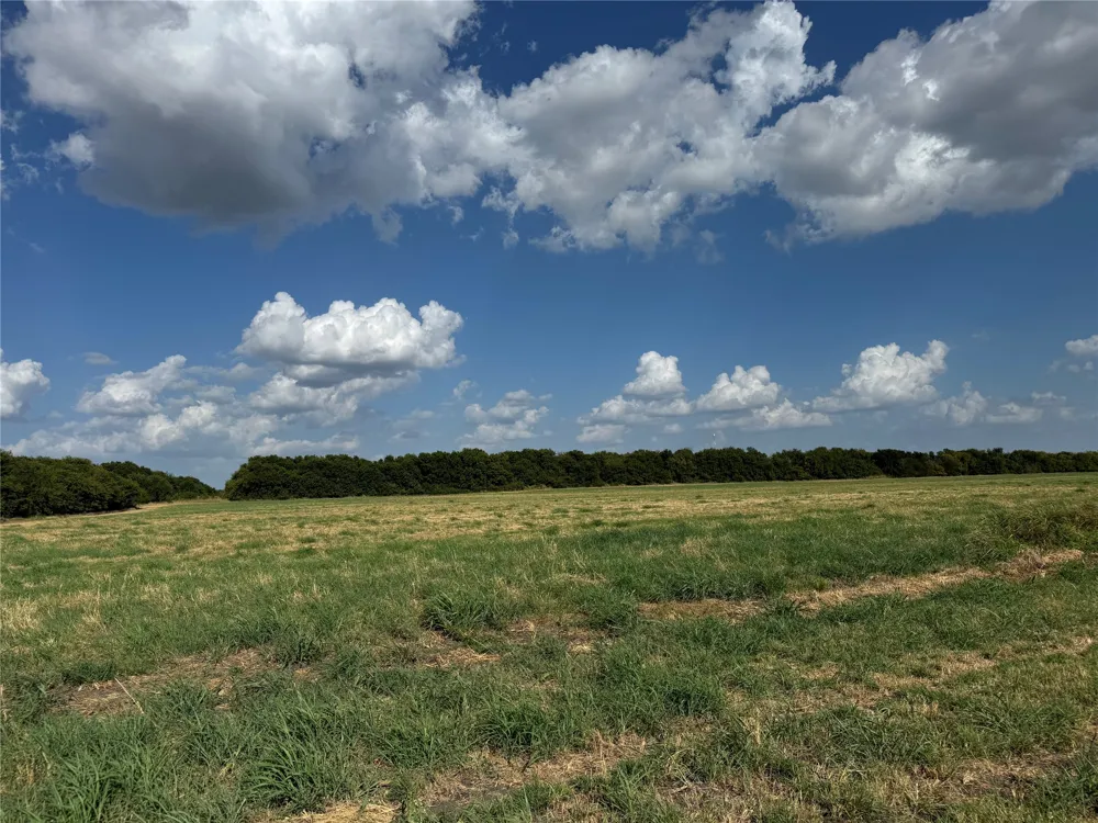 County Rd 3700 Leonard, TX 75452