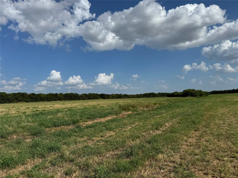 County Rd 3700 Leonard, TX 75452