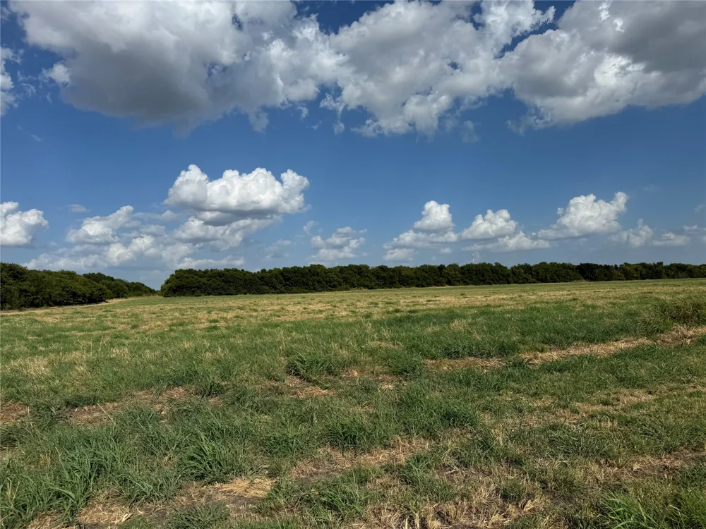 County Rd 3700 Leonard, TX 75452