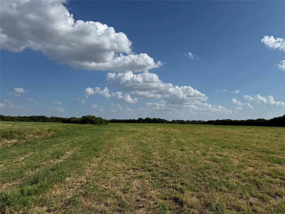 County Rd 3700 Leonard, TX 75452
