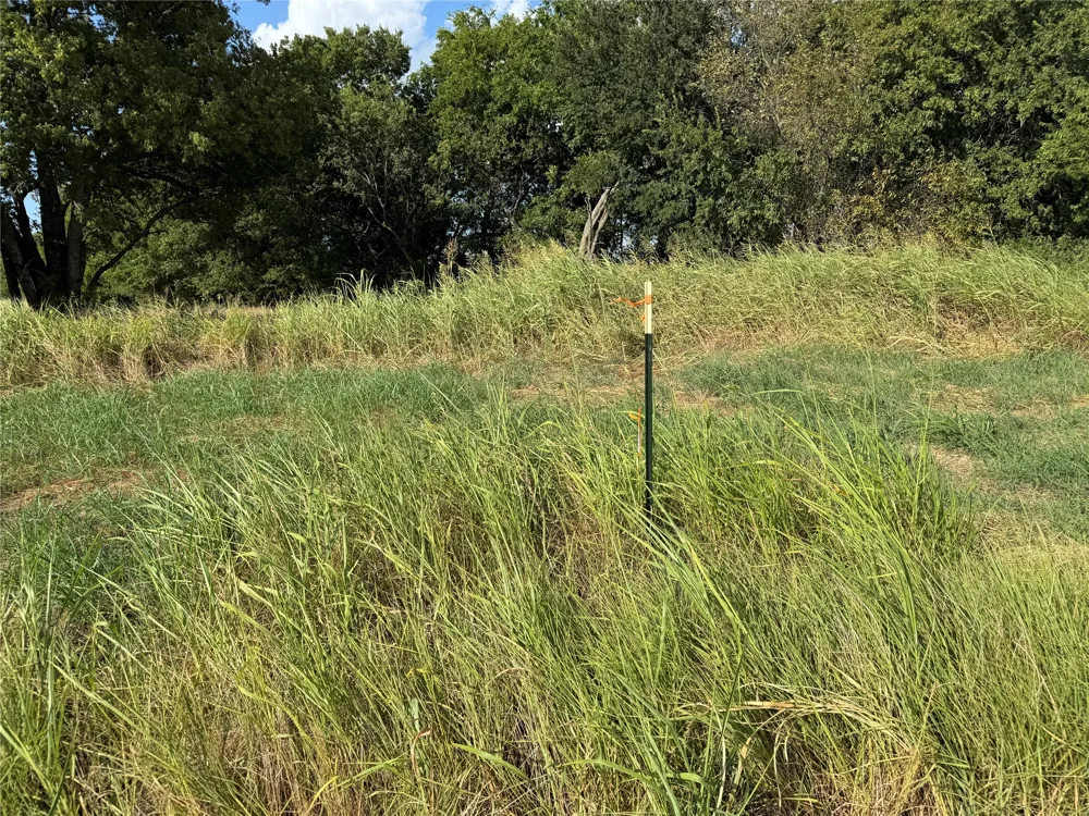 County Rd 3700 Leonard, TX 75452
