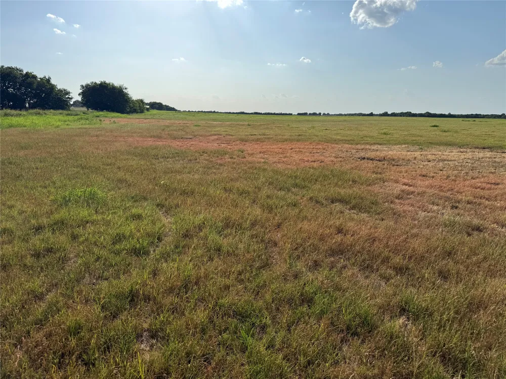 County Rd 3700 Leonard, TX 75452