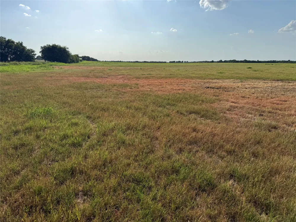 County Rd 3700 Leonard, TX 75452