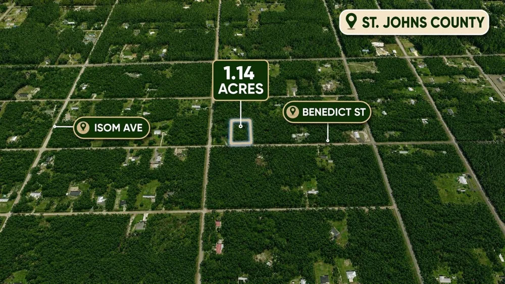 4260 BENEDICT STREET Hastings, FL 32145