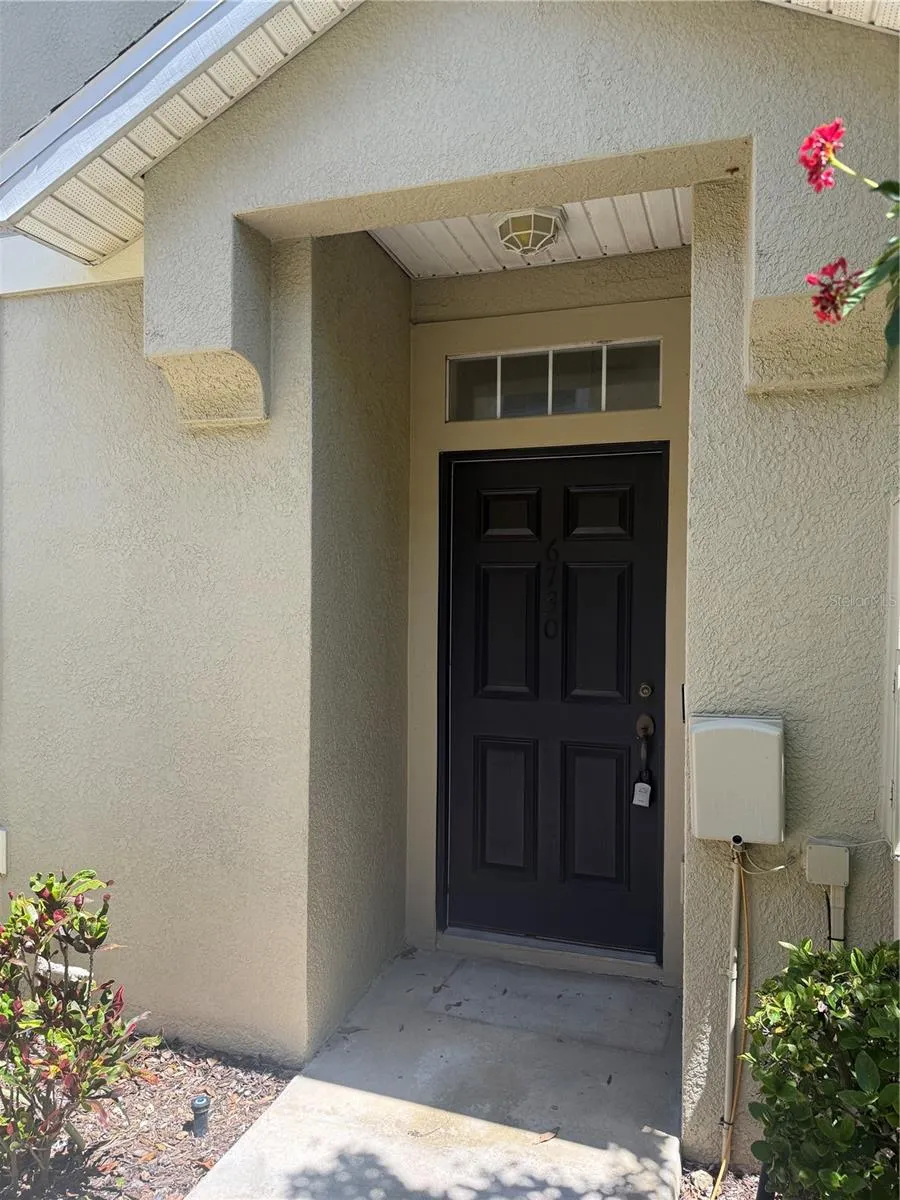6730 EAGLE FEATHER DRIVE Riverview, FL 33578