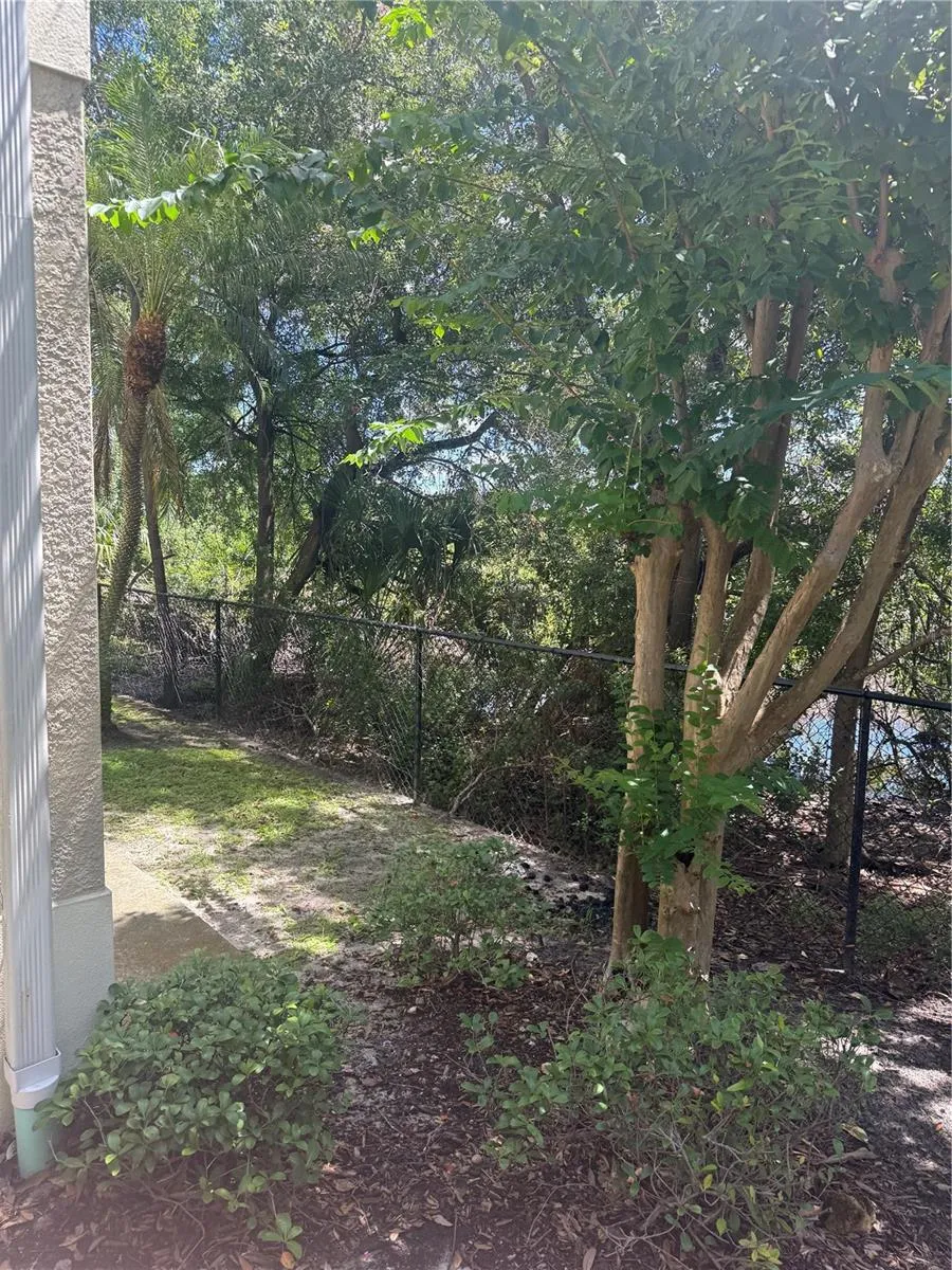6730 EAGLE FEATHER DRIVE Riverview, FL 33578