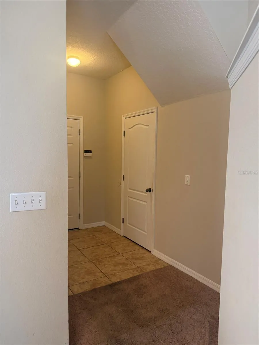 6730 EAGLE FEATHER DRIVE Riverview, FL 33578