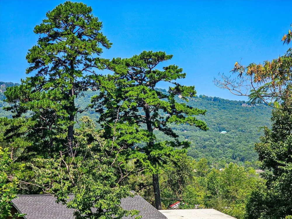 700 Runyan Drive Chattanooga, TN 37405
