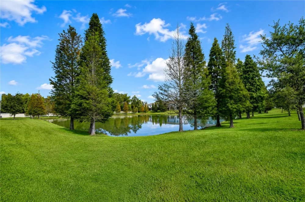 3326 PLEASANT WILLOW COURT Brandon, FL 33511