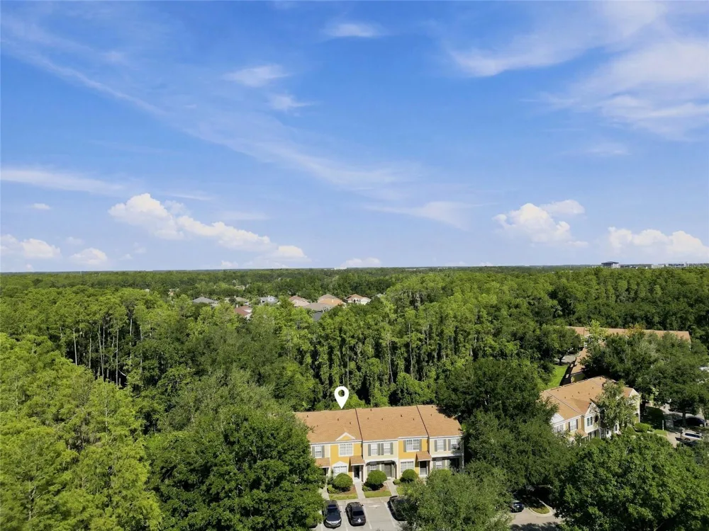 1339 COSTA MESA DRIVE Wesley Chapel, FL 33543