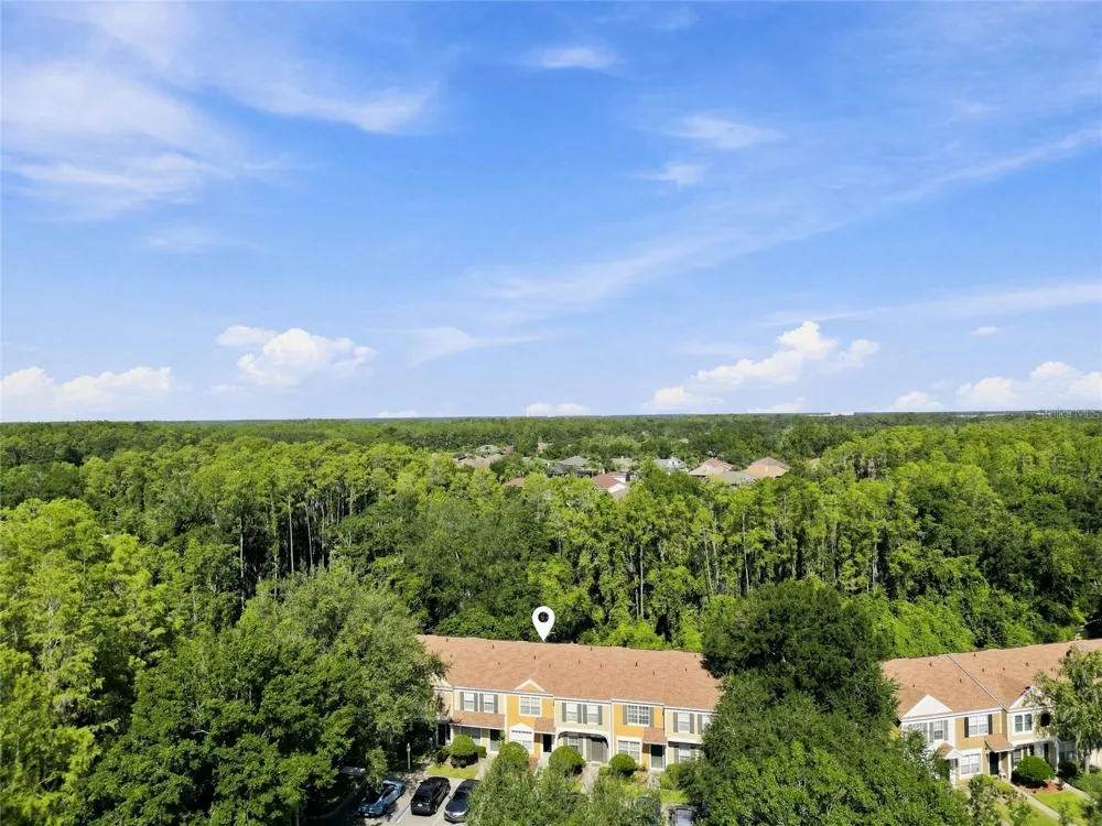 1339 COSTA MESA DRIVE Wesley Chapel, FL 33543
