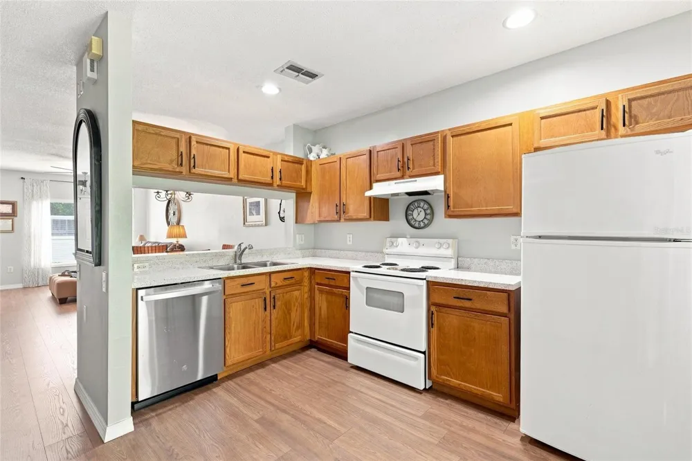 1339 COSTA MESA DRIVE Wesley Chapel, FL 33543