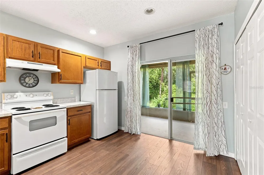 1339 COSTA MESA DRIVE Wesley Chapel, FL 33543