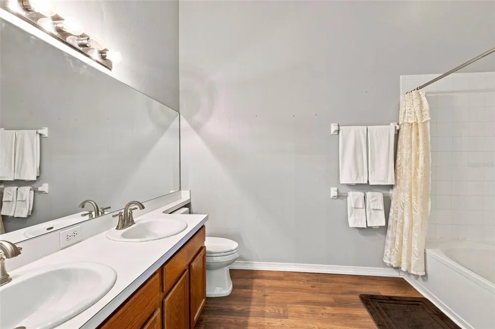 1339 COSTA MESA DRIVE Wesley Chapel, FL 33543