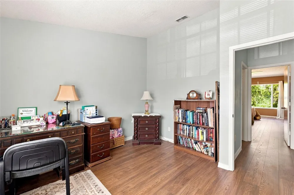 1339 COSTA MESA DRIVE Wesley Chapel, FL 33543