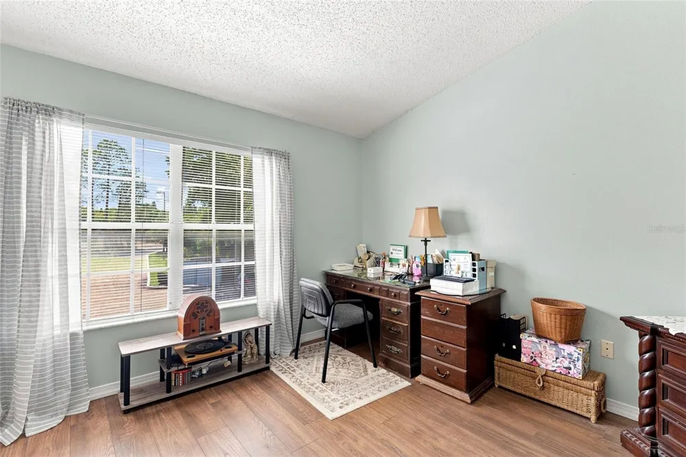 1339 COSTA MESA DRIVE Wesley Chapel, FL 33543