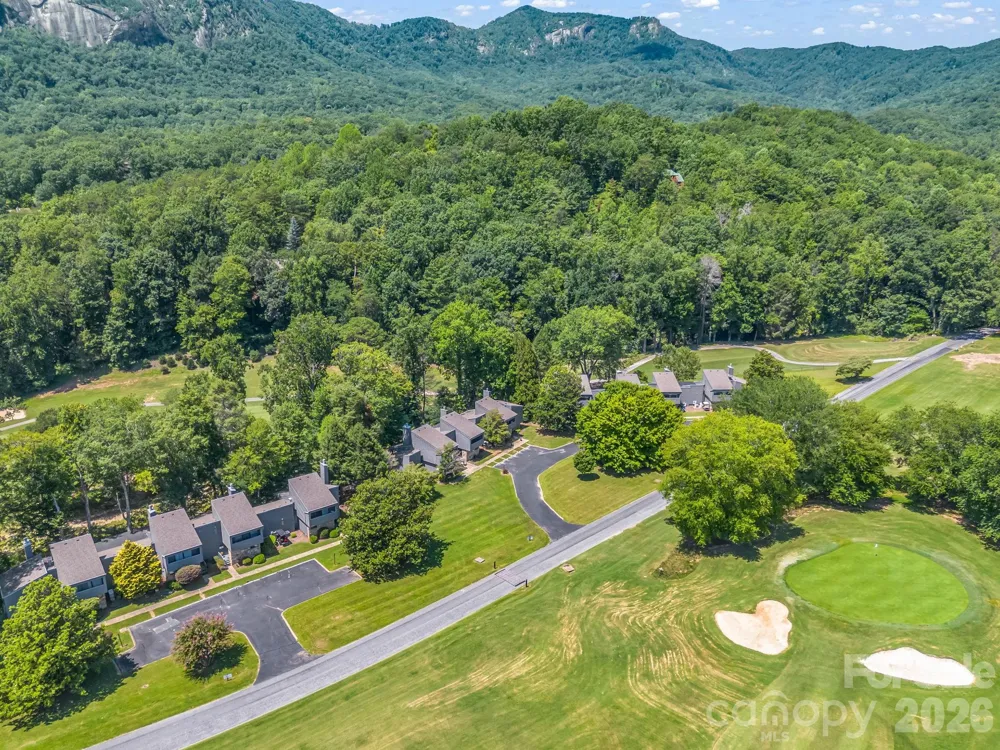 429 Mountains Boulevard #C-103 Lake Lure, NC 28746