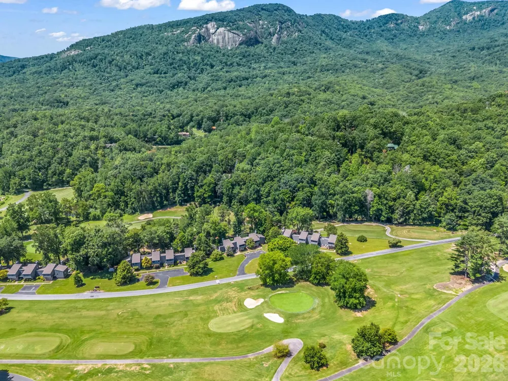 429 Mountains Boulevard #C-103 Lake Lure, NC 28746