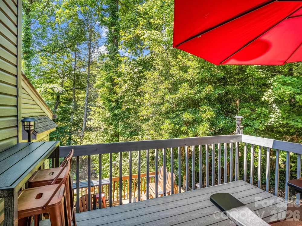 429 Mountains Boulevard #C-103 Lake Lure, NC 28746