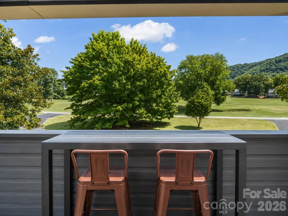 429 Mountains Boulevard #C-103 Lake Lure, NC 28746