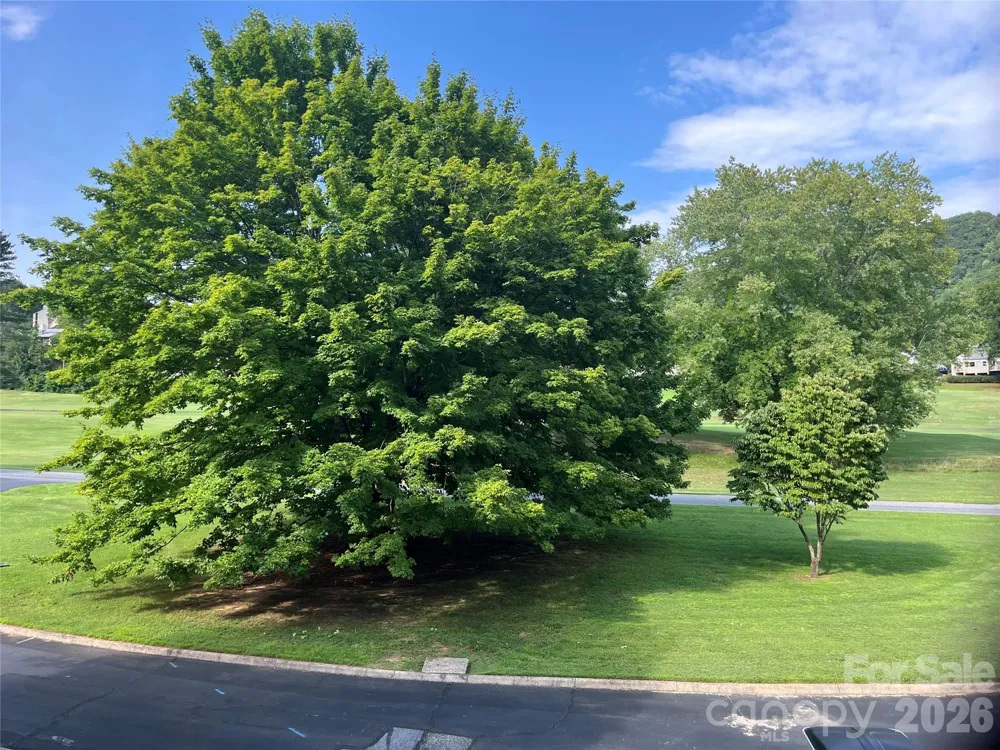 429 Mountains Boulevard #C-103 Lake Lure, NC 28746