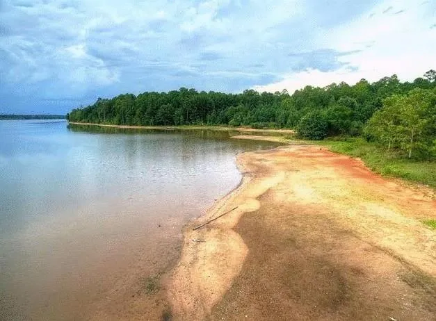 412 Eglington Trail Locust Grove, GA 30248