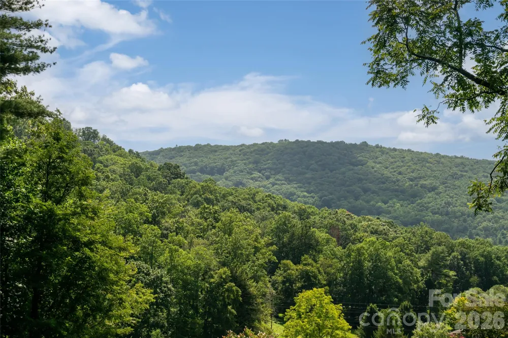 360 Pinners Cove Road Asheville, NC 28803
