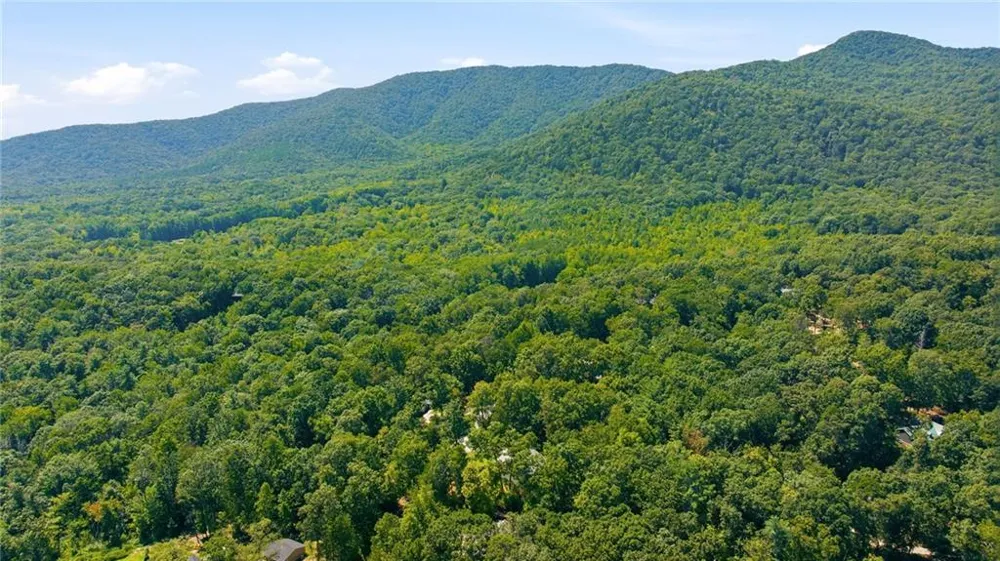 254 SPRING CREST ROAD Cleveland, GA 30528