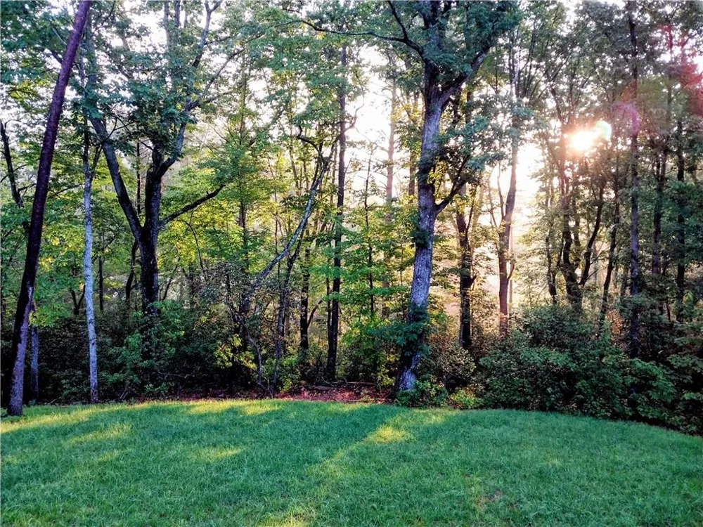 254 SPRING CREST ROAD Cleveland, GA 30528