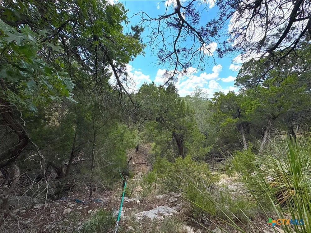 861 Riviera Drive Canyon Lake, TX 78133