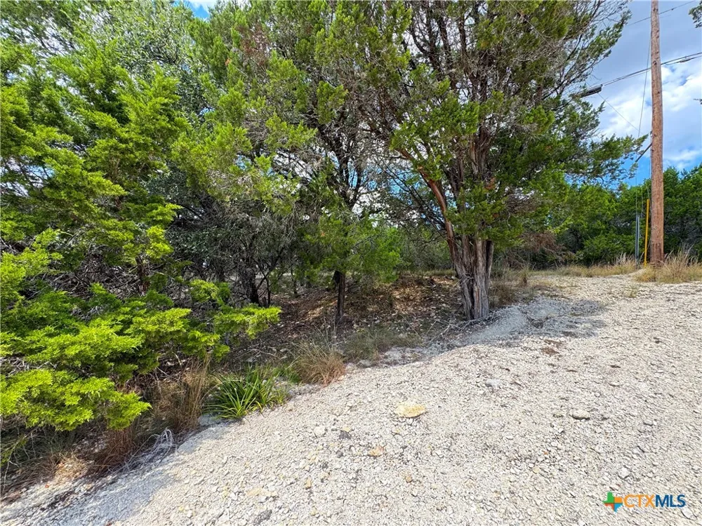 861 Riviera Drive Canyon Lake, TX 78133