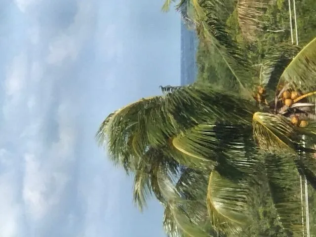 275 Palm Avenue #C503 Jupiter, FL 33477