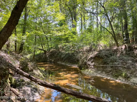 Old Highway 27 Road 2
