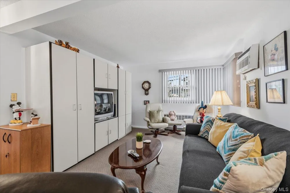 210 5th Street Bethpage, NY 11714