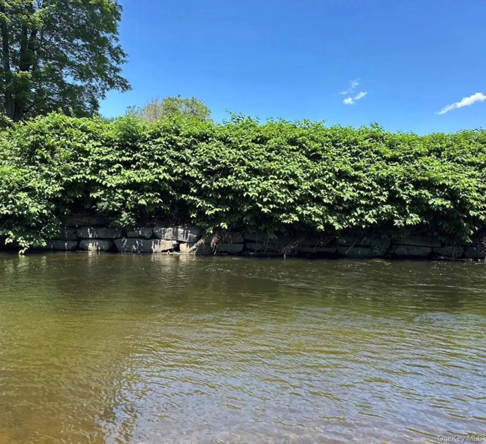 40 River Street #2 Livingston Manor, NY 12758