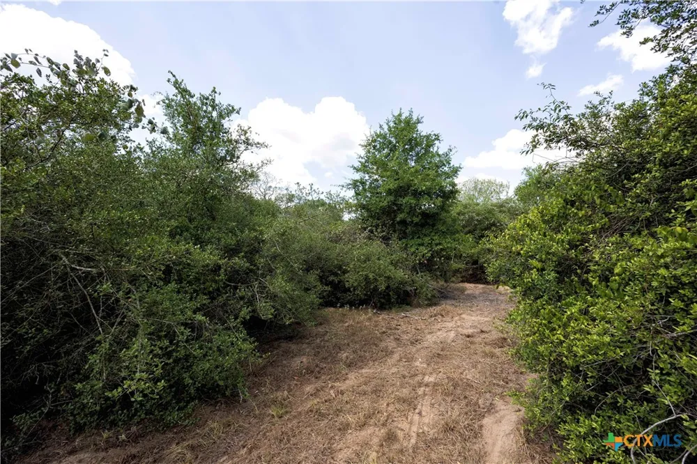 710 County Road 211a Hallettsville, TX 77964