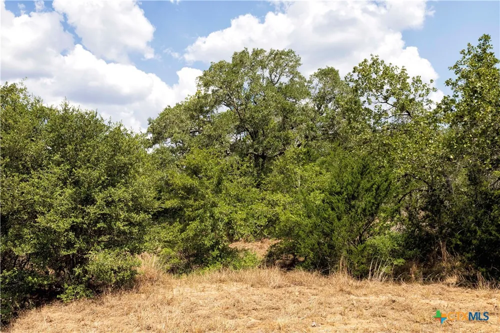 710 County Road 211a Hallettsville, TX 77964
