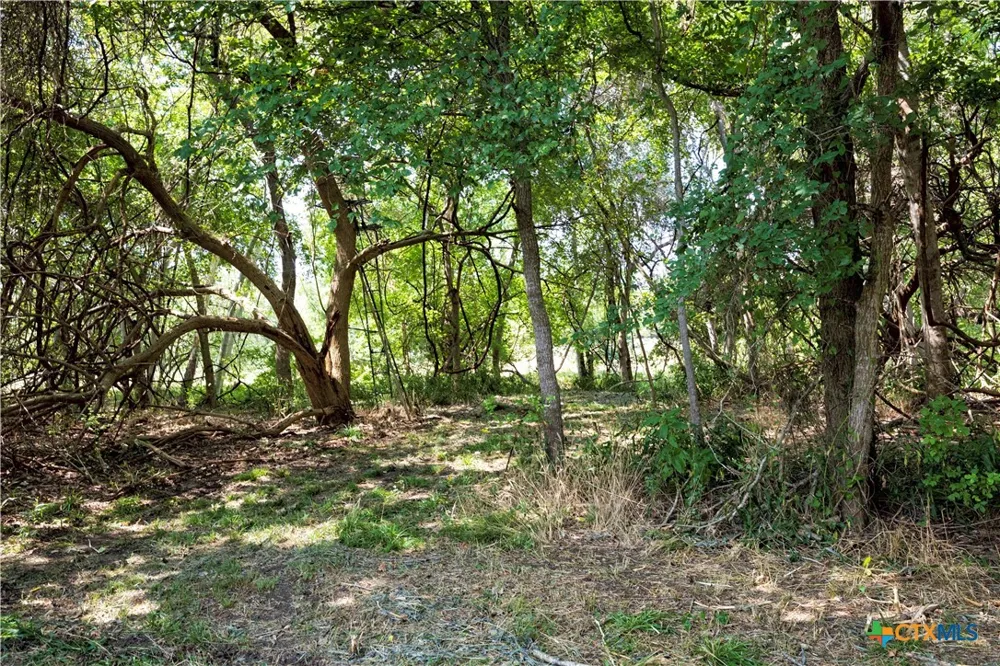710 County Road 211a Hallettsville, TX 77964