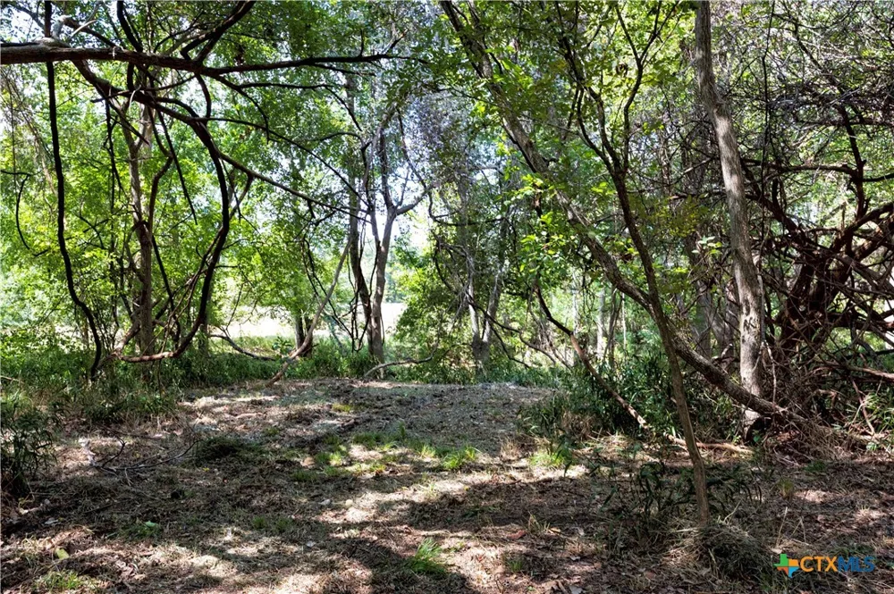 710 County Road 211a Hallettsville, TX 77964