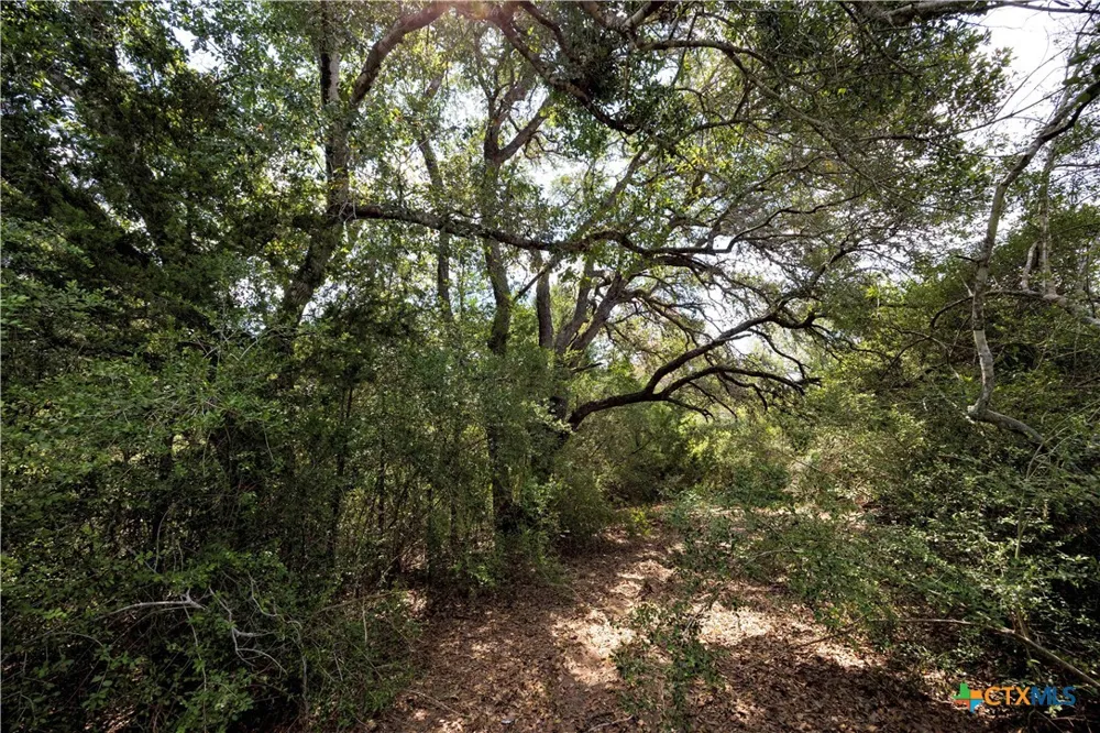 710 County Road 211a Hallettsville, TX 77964