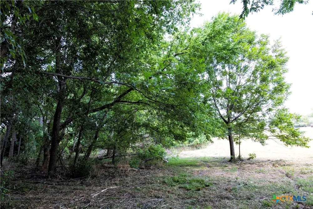 710 County Road 211a Hallettsville, TX 77964