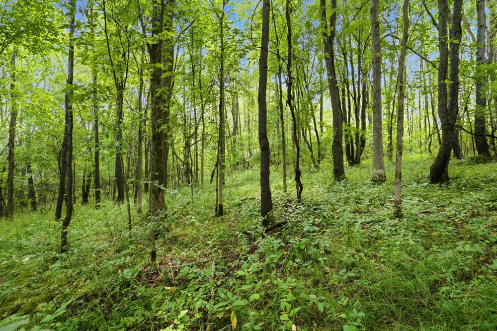 11144 Horton Road Groveland Township, MI 48442