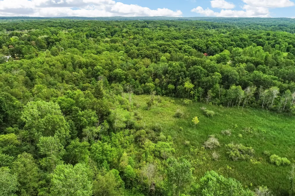 11144 Horton Road Groveland Township, MI 48442