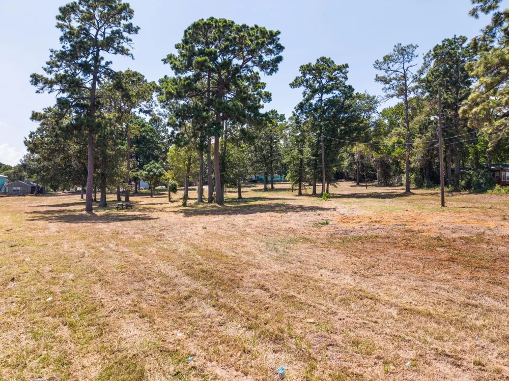 Shawnee Drive Onalaska, TX 77360